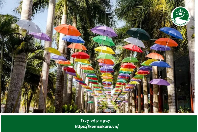 Lý Do Khu Du Lịch Sinh Thái Phú Hữu Là Điểm Đến Hấp Dẫn Tại Hậu Giang