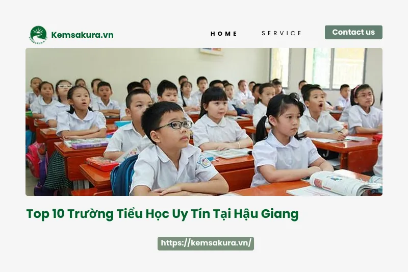 Chọn trường tiểu học cho con ở Hậu Giang: 10 gợi ý hàng đầu