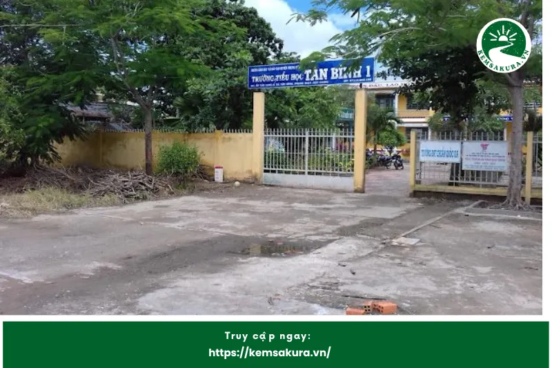 TTrường Tiểu Học Tân Bình 1