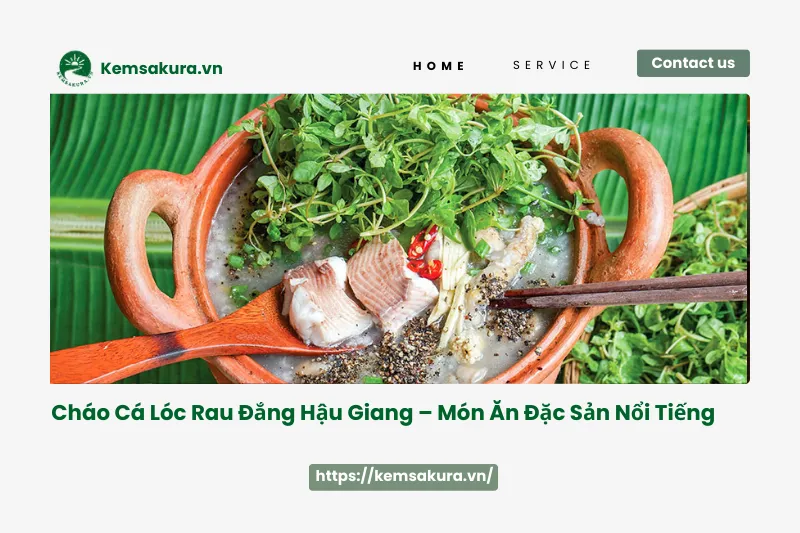 Địa Chỉ Thưởng Thức Cháo Cá Lóc Rau Đắng Hậu Giang