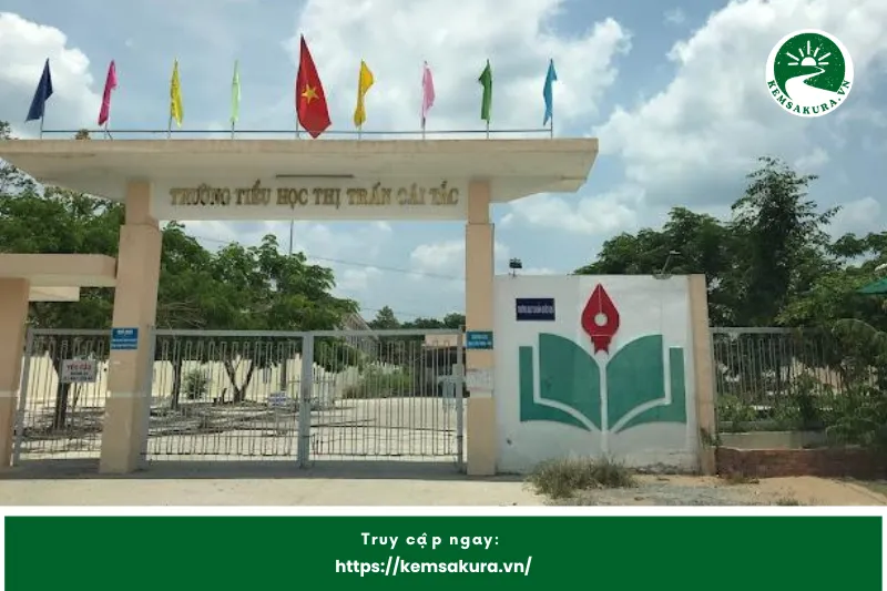 Trường Tiểu Học Tân Bình 1