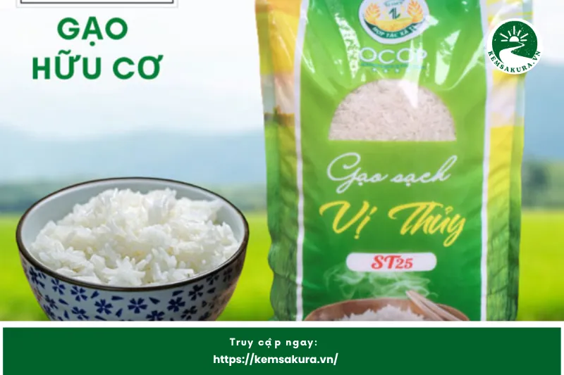 Gạo sạch Vị Thủy
