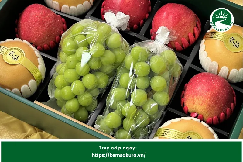 NgonFruit