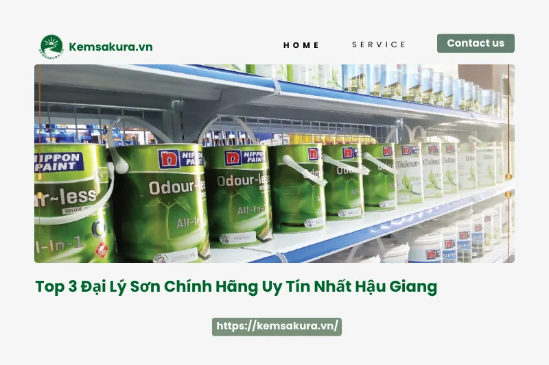 Top 3 đại lý sơn chính hãng uy tín nhất tại Hậu Giang: Giá tốt, chất lượng đảm bảo