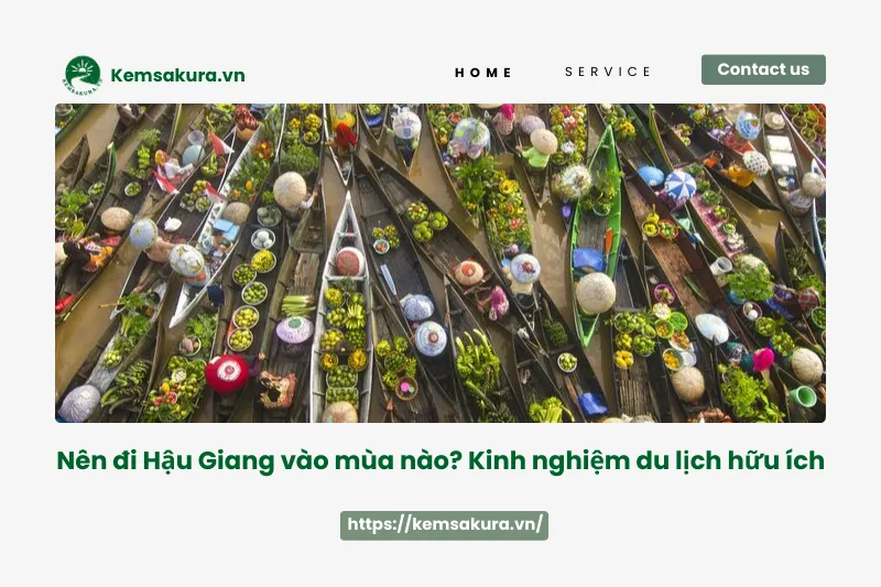 Nên đi Hậu Giang mùa nào? Kinh nghiệm du lịch hữu ích