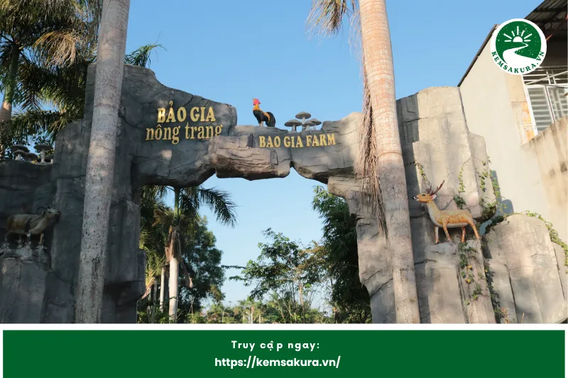Bảo Gia Farm Camping