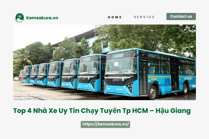 Top 4 nhà xe uy tín chạy tuyến TP Hồ Chí Minh - Hậu Giang: Giá vé, lịch trình và địa chỉ