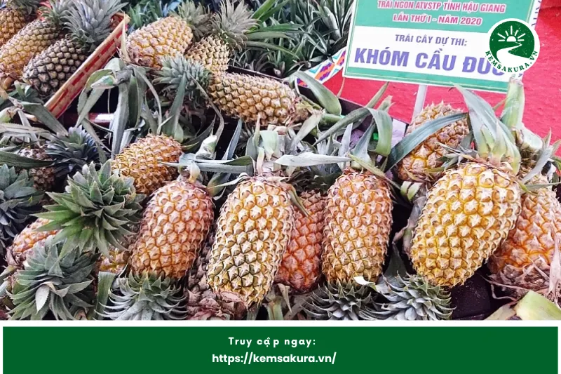 Cách Chọn Mua Khóm Cầu Đúc Tươi Ngon