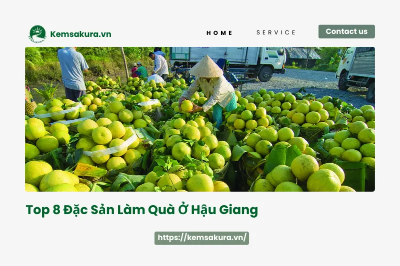 Top 8 đặc sản làm quà Hậu Giang: Hương vị miền Tây khó quên