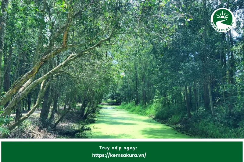 Vai trò quan trọng của Lung Ngọc Hoàng trong hệ sinh thái miền Tây