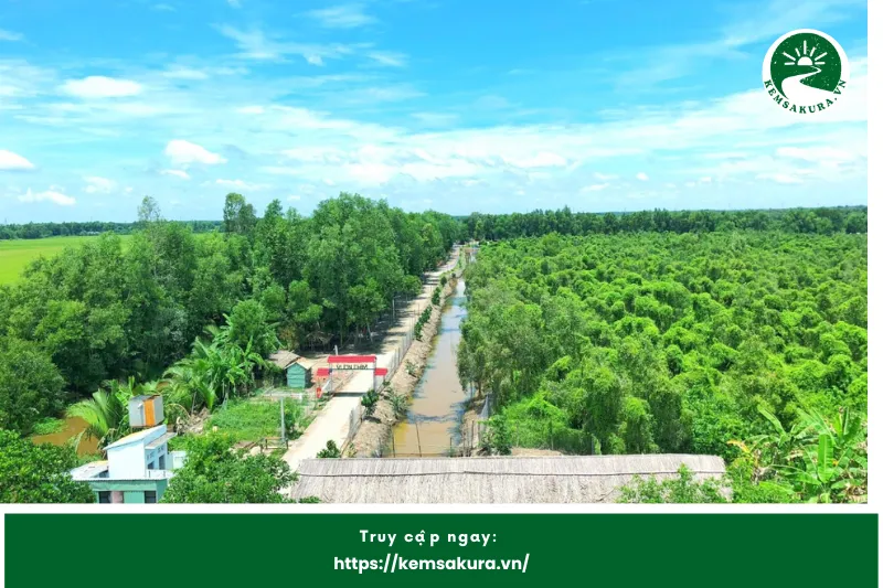 Giá Trị Bảo Tồn Và Phát Triển Bền Vững