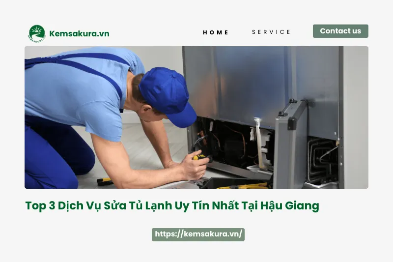 Top 3 dịch vụ sửa tủ lạnh uy tín nhất Hậu Giang: Nhanh chóng, chất lượng, giá rẻ