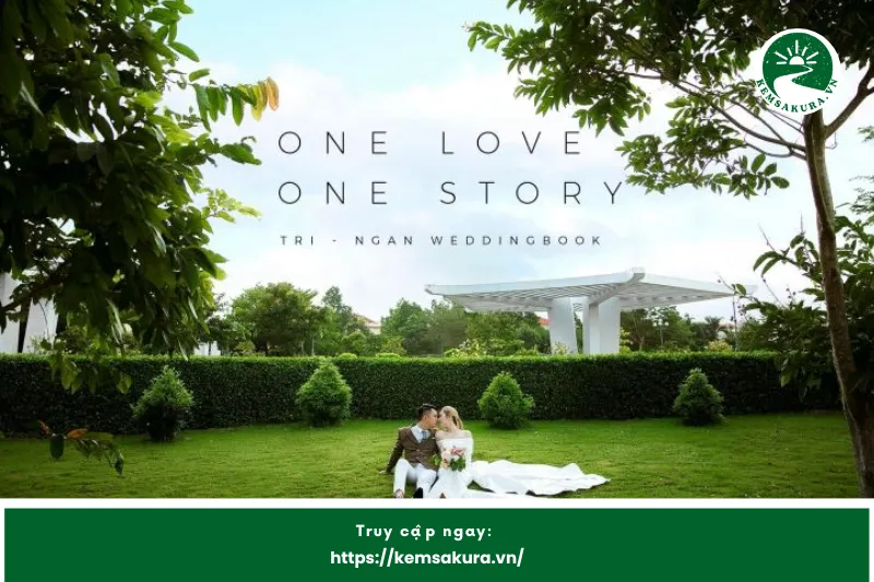 Nguyễn Hoàng Studio