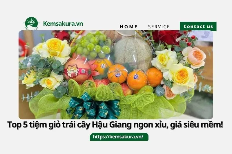 Top 5 tiệm giỏ trái cây Hậu Giang ngon xỉu, giá siêu mềm!