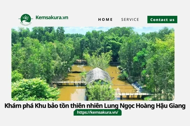 Khám phá Khu bảo tồn thiên nhiên Lung Ngọc Hoàng Hậu Giang