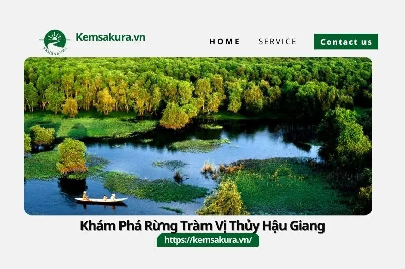 Khám Phá Rừng Tràm Vị Thủy Hậu Giang – Điểm Đến Sinh Thái Miền Tây